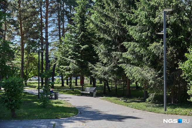 Голосование за скверы и парки завершится 12 июня | Источник: Александр Ощепков / NGS.RU