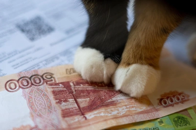 Why Utility Prices Will Rise More in Three Kuzbass Cities