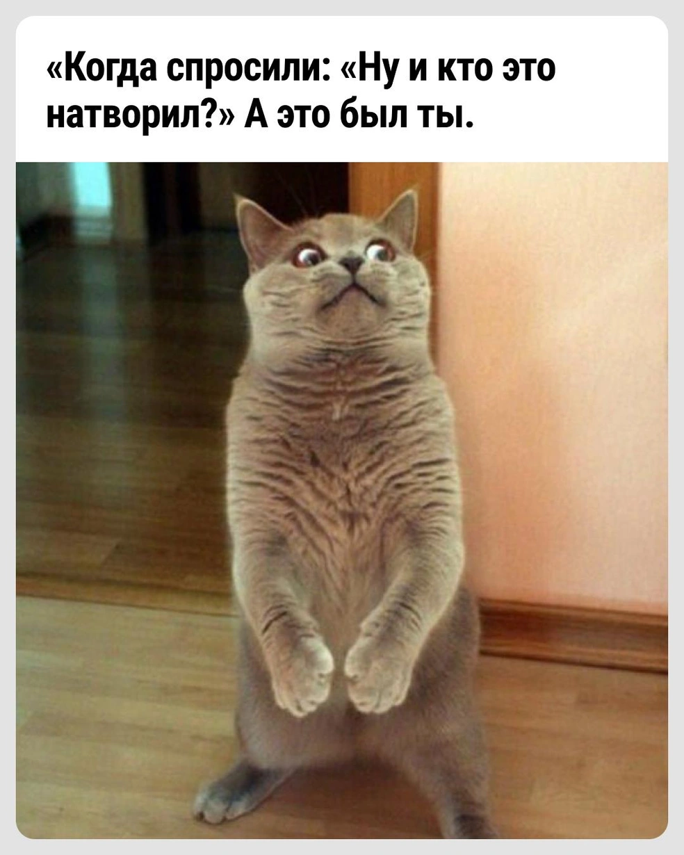 Опасно | Источник: Городские медиа