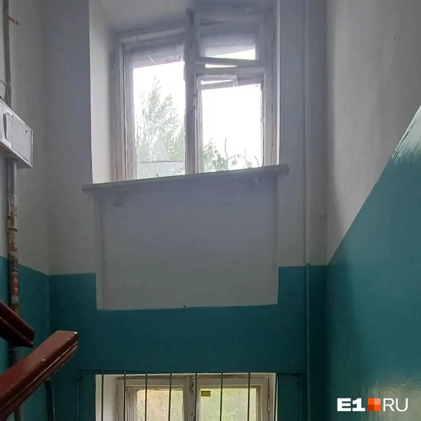 Источник: читательница E1.RU