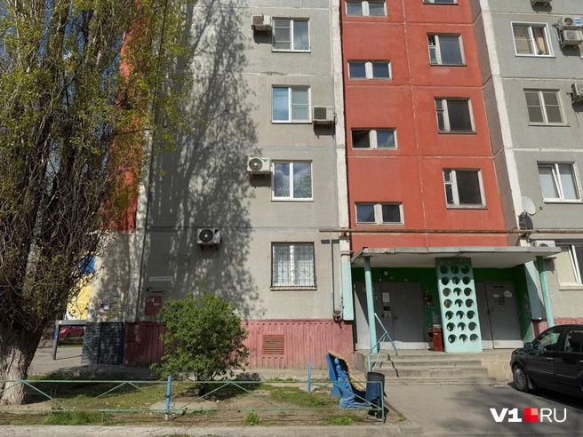 Трагедия произошла на 39-й Гвардейской, однако местные жители о ней почти ничего не знают | Источник: Елена Рублева / V1.RU
