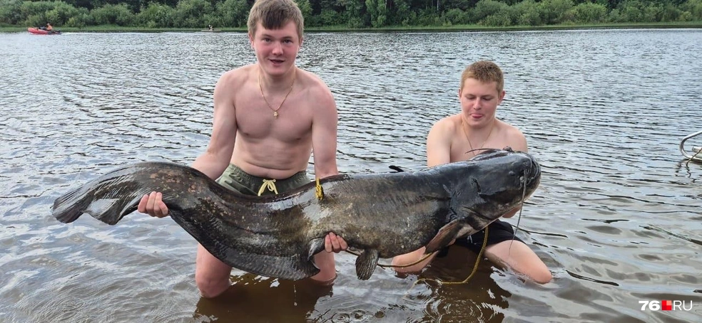 В тот день вытащить из воды удалось около 15 рыб | Источник: Глеб Семенов