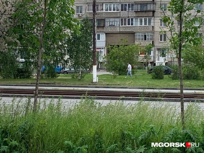Посмотрите, как выглядят газоны на другой стороне | Источник: Полина Котышева / MGORSK.RU