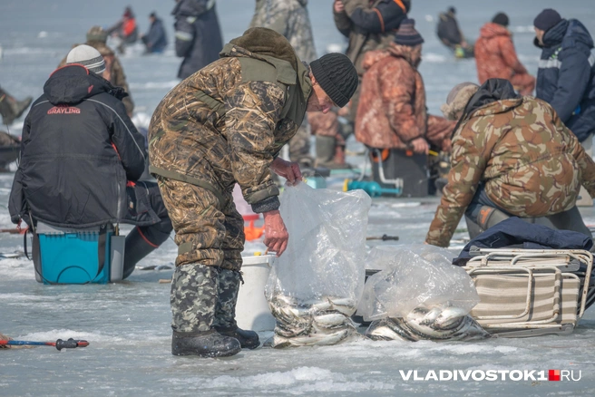 Источник: Елена Буйвол / VLADIVOSTOK1.RU