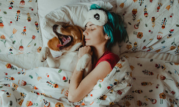 3 причины разрешить собаке спать вместе с вами в кровати