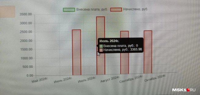 Ирина узнала, что несколько лет платила мошенникам, благодаря официальному сайту, где был указан их долг | Источник: читательница MSK1.RU