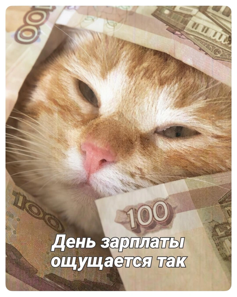 Кому не поднимают настроение сообщения от банка о поступлении зарплаты? | Источник: Полина Авдошина / Городские медиа