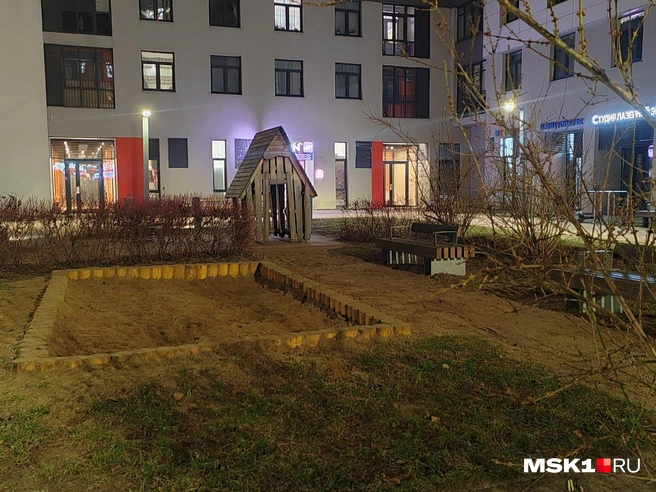 Источник: Михаил Мечев / MSK1.RU