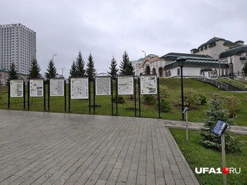 Источник: Булат Салихов / UFA1.RU