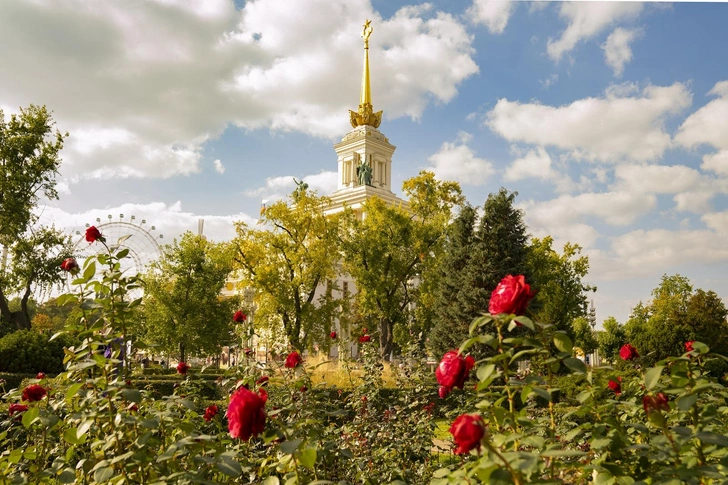 5 лучших мест для осенних фотосессий на ВДНХ