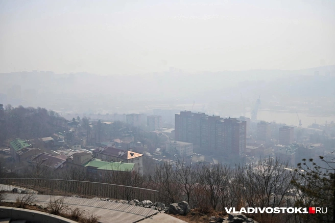 Источник: Елена Буйвол / VLADIVOSTOK1.RU