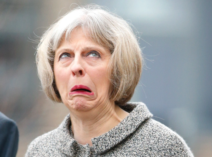 Тереза Мэй в ожидании прибытия Елизаветы II и герцога Эдинбургского, 2014 год