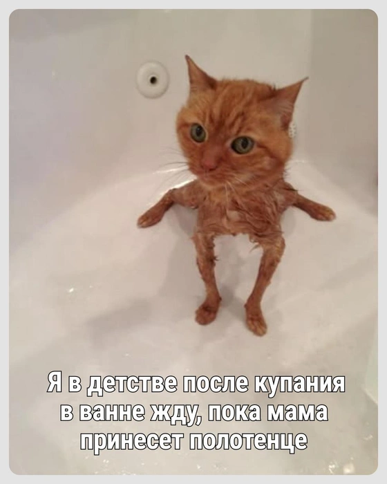 Большое такое, махровое | Источник: Городские медиа