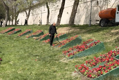 К майским праздникам высадят 60 тысяч цветов