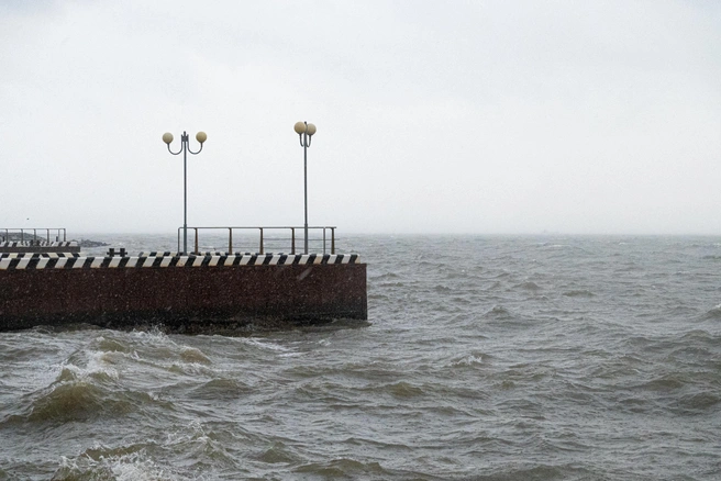 Причины несчастного случая пока неизвестны | Источник: Елена Буйвол / VLADIVOSTOK1.RU