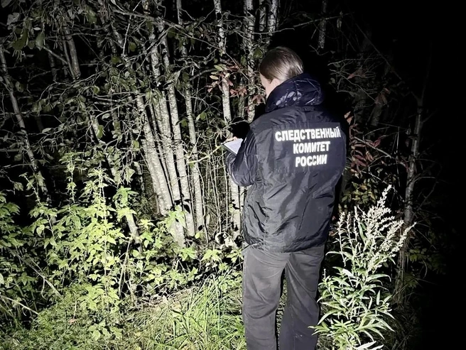 Пожилой охотник погиб, встретив медведя в лесу Вологодской области | Источник: СУ СК РФ по Вологодской области