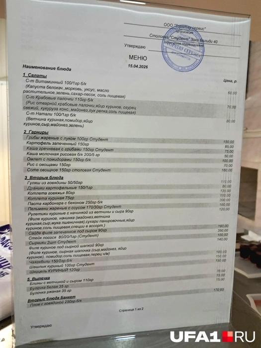 Одна из страниц меню | Источник: Андрей Сивец / UFA1.RU