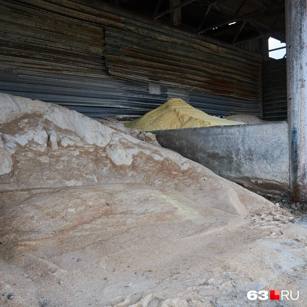 Источник: Роман Данилкин / 63.RU