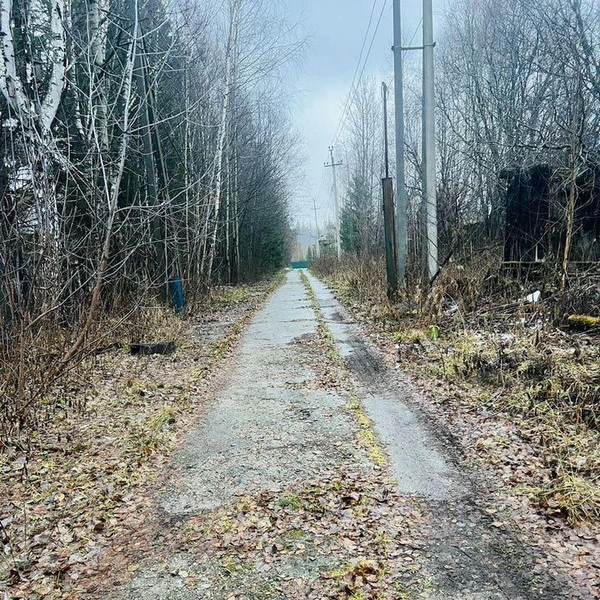 Дорога к базе | Источник: Avito.ru