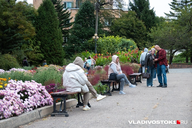 Источник: Елена Буйвол / VLADIVOSTOK1.RU