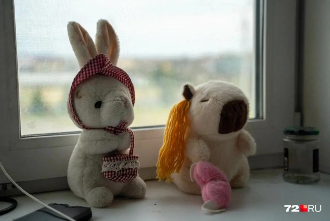У взрослого Ивана дома мягкие игрушки  | Источник: Илья Чикотин / 72.RU