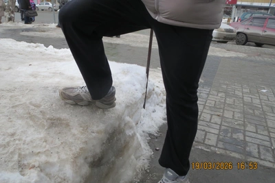 Сибирячка замерила уровень снега на улицах Новосибирска