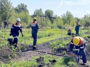 Полученные техноземы, как ожидается, можно будет применять для рекультивации нарушенных земель | Источник: kuzrab.ru