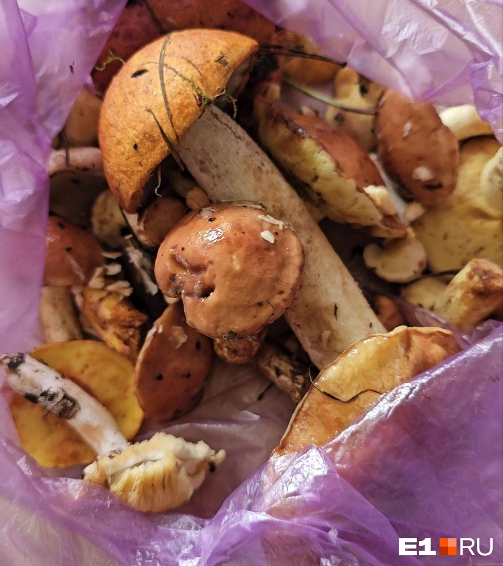 Источник: читатель E1.RU Никита