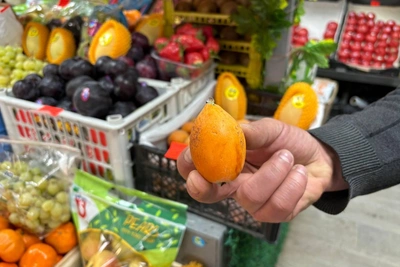 В Тюмени продают редкий фрукт мушмулу за 1800 рублей