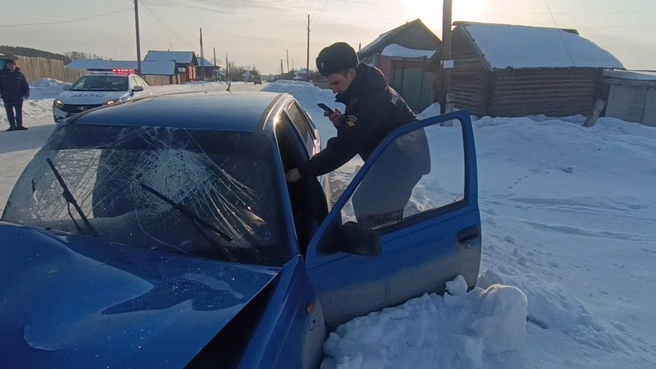 Против водителя составили семь административных протоколов | Источник: ГИБДД Свердловской области