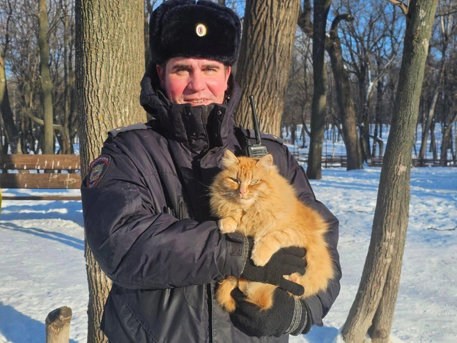Валерий Антипов, командир 1 взвода полка патрульно-постовой службы полиции, и его рыжий напарник  | Источник: ГУ МВД России по Самарской области 