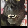 userpic__Чебуречный порноманьяк