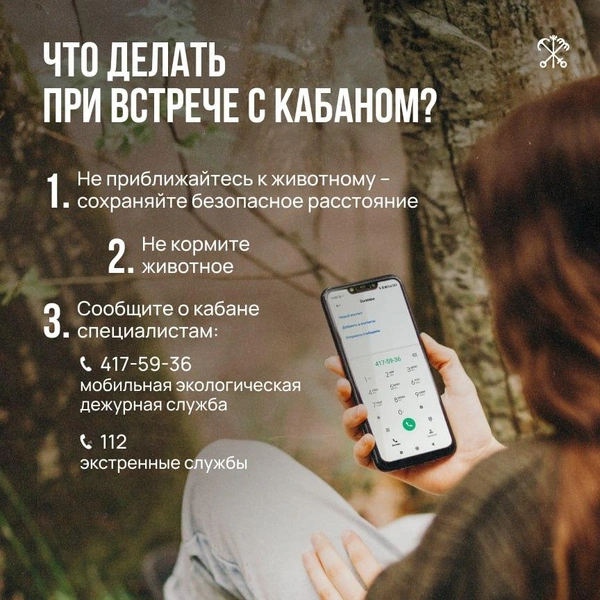 Источник: правительство Петербурга