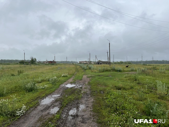 Дороги лучше, чем в Швейцарии | Источник: Андрей Бирюков / UFA1.RU