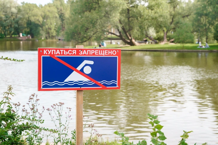 Источник: Ivanova Ksenia / Shutterstock.com