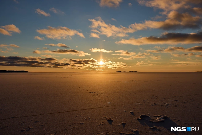 Источник: Александр Ощепков / NGS.RU