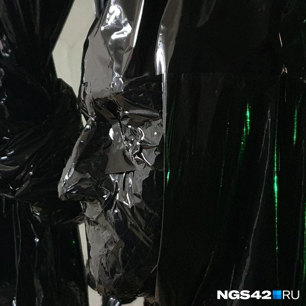 Источник: Полина Чернядьева / NGS42.RU