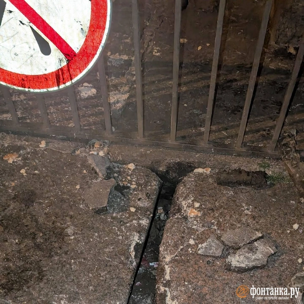 Источник: Даниил Шурыгин / «Фонтанка.ру»