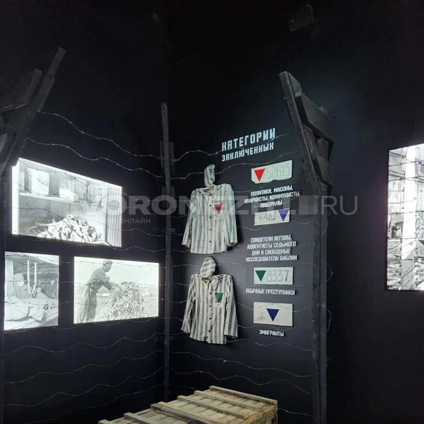 Источник: Ирина Булгакова/ Voronezh1.ru
