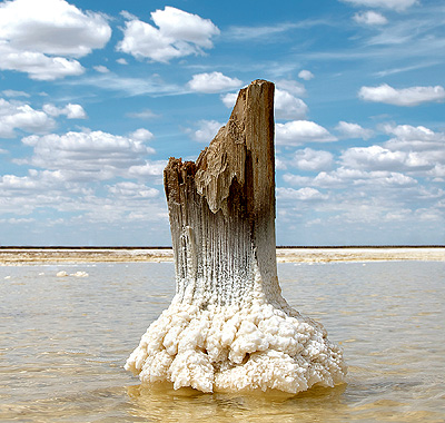 Shutterstock<strong>Для нужд соледобычи</strong>