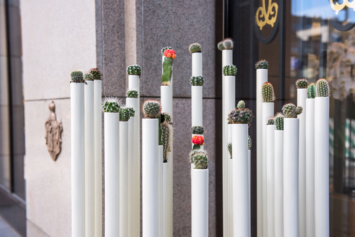 Cactus de Cartier Petrovka Installation