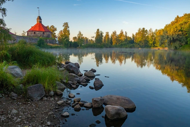 Источник: Gri-spb / iStock