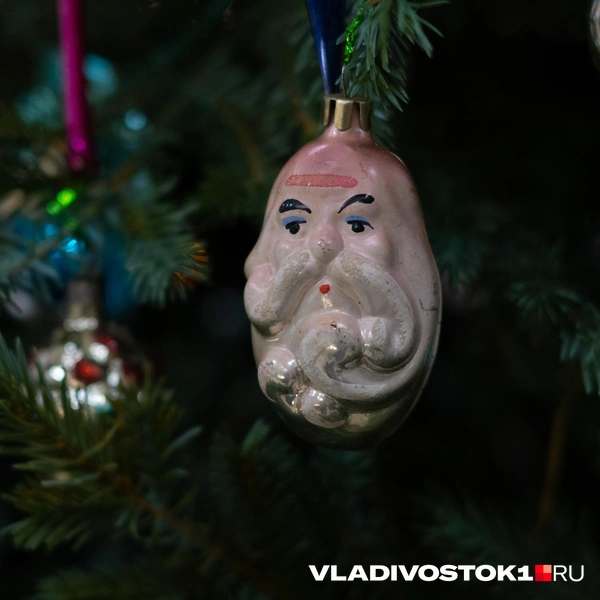 Источник: Елена Буйвол / VLADIVOSTOK1.RU