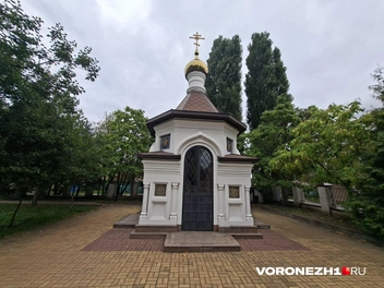 Источник: Алёна Воропаева / Voronezh1.ru