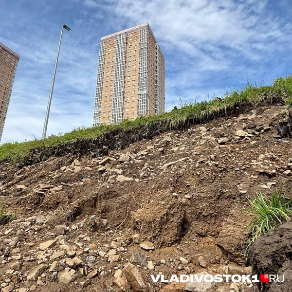 Источник: Елена Буйвол / VLADIVOSTOK1.RU