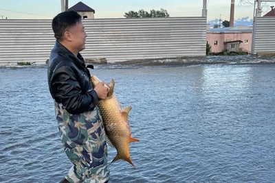 Рабочий на Урале поймал огромного карпа голыми руками
