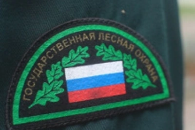 Подведены итоги работы лесной охраны Томской области