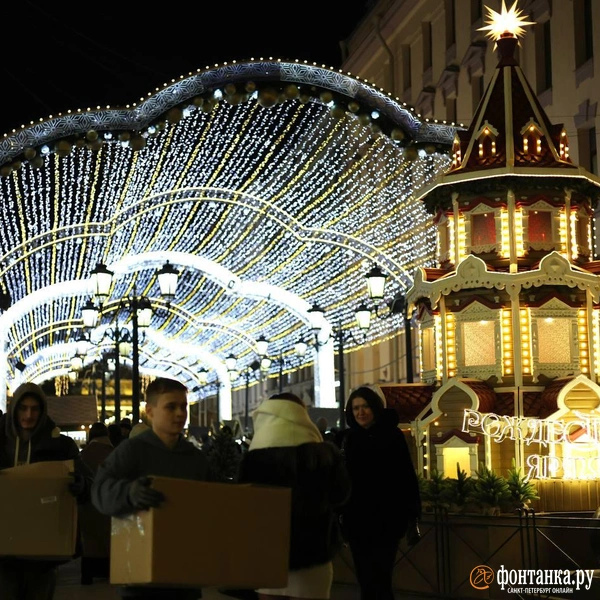 Источник: Марина Мамонтова/FONTANKA.RU