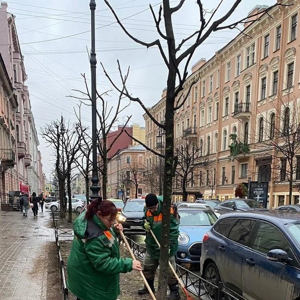 Источник: Комитет по благоустройству Петербурга