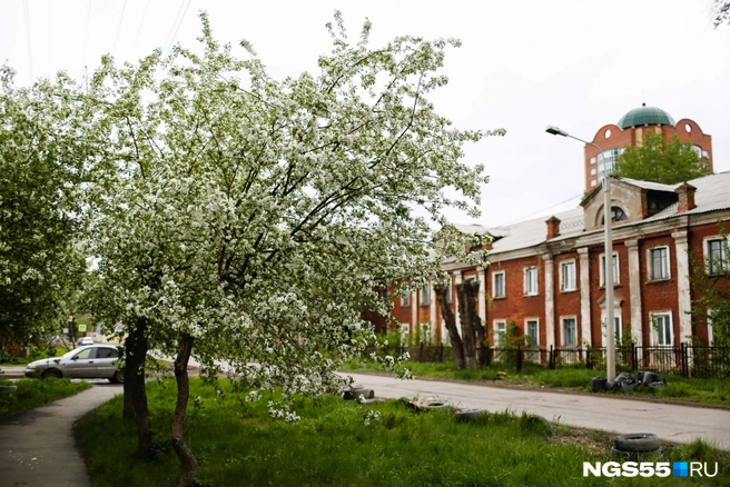 В апреле средняя температура тоже была выше нормы | Источник: Евгений Софийчук / NGS55.RU